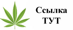 Купить наркотики в Ставрополе